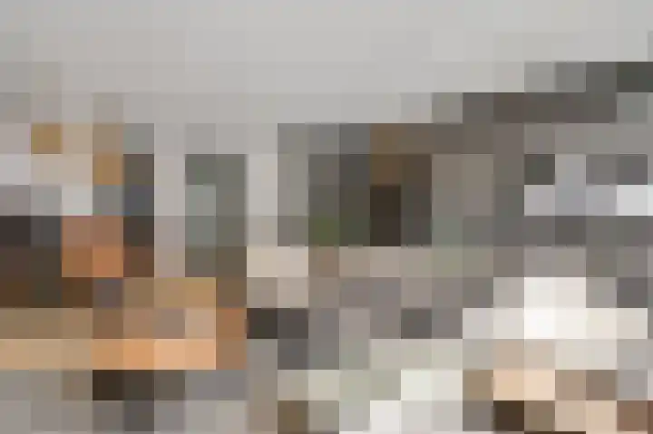 Molenakker 1 Roermond thumbnail 6