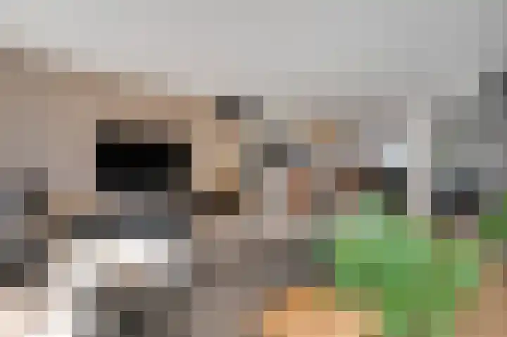 Molenakker 1 Roermond thumbnail 9