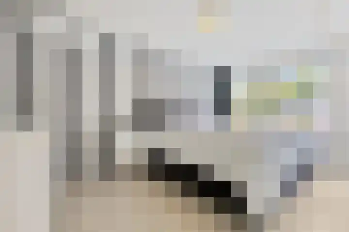 Molenakker 11 Vught thumbnail 26