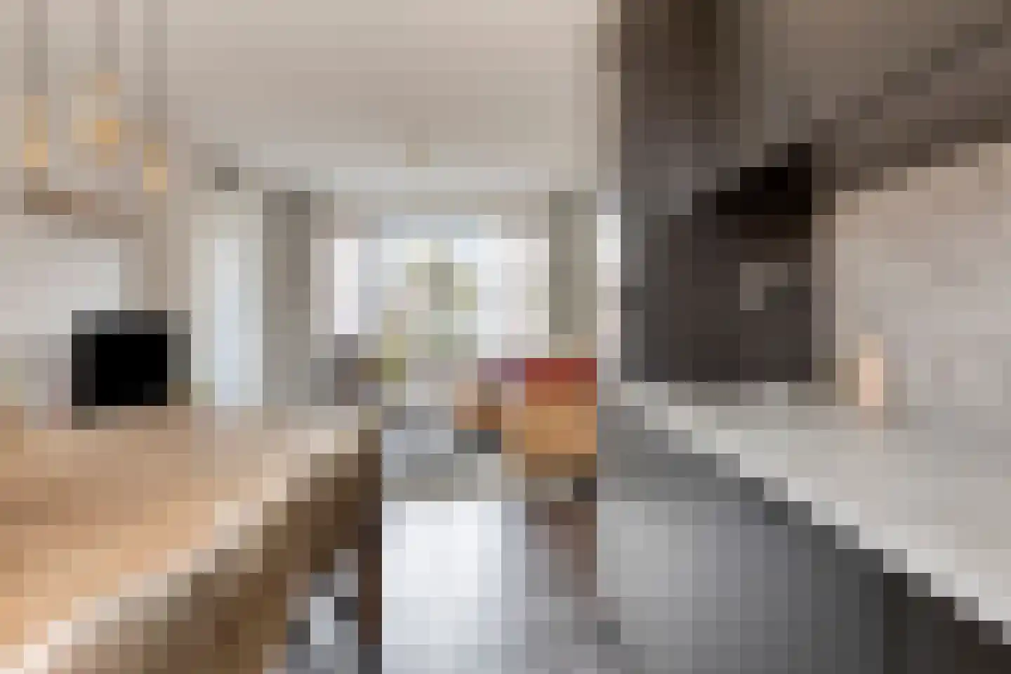 Molenakker 16 Reusel thumbnail 15