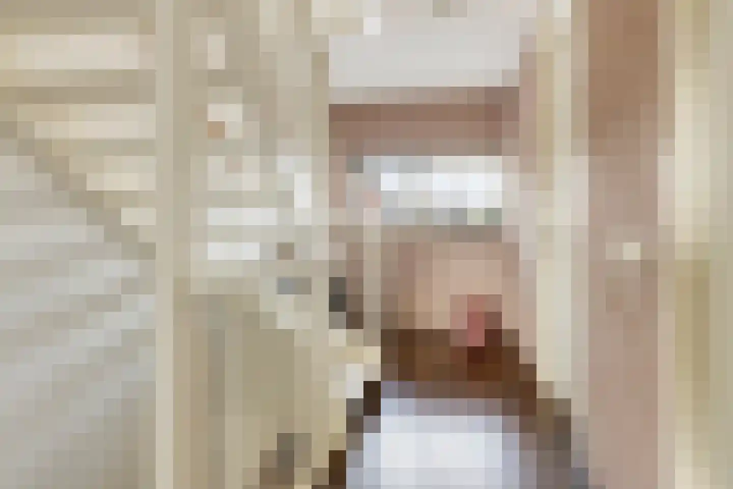 Molenakker 16 Reusel thumbnail 18
