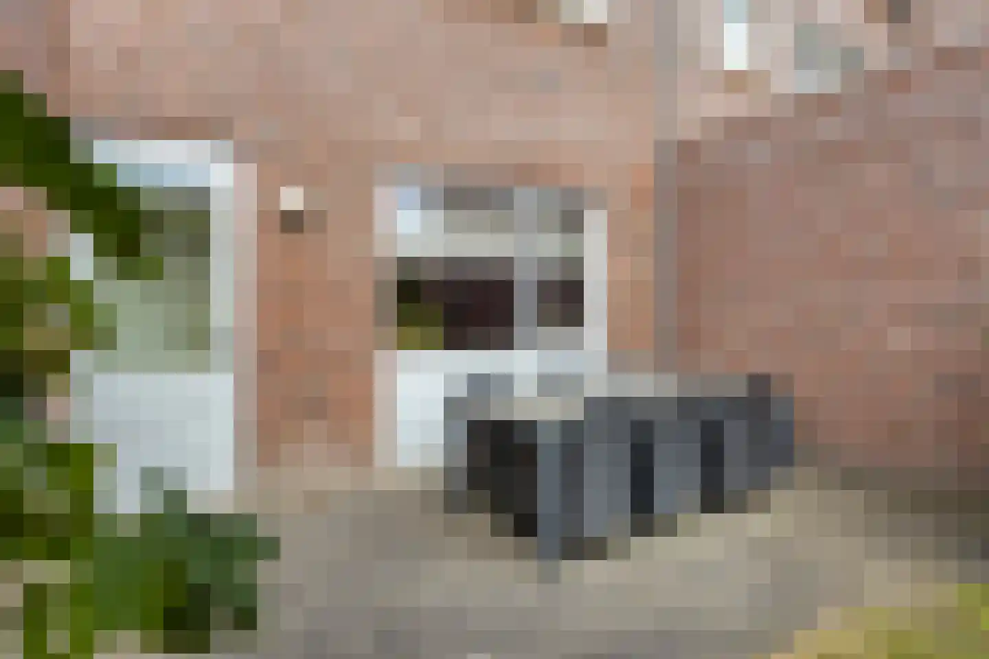 Molenakker 16 Reusel thumbnail 30