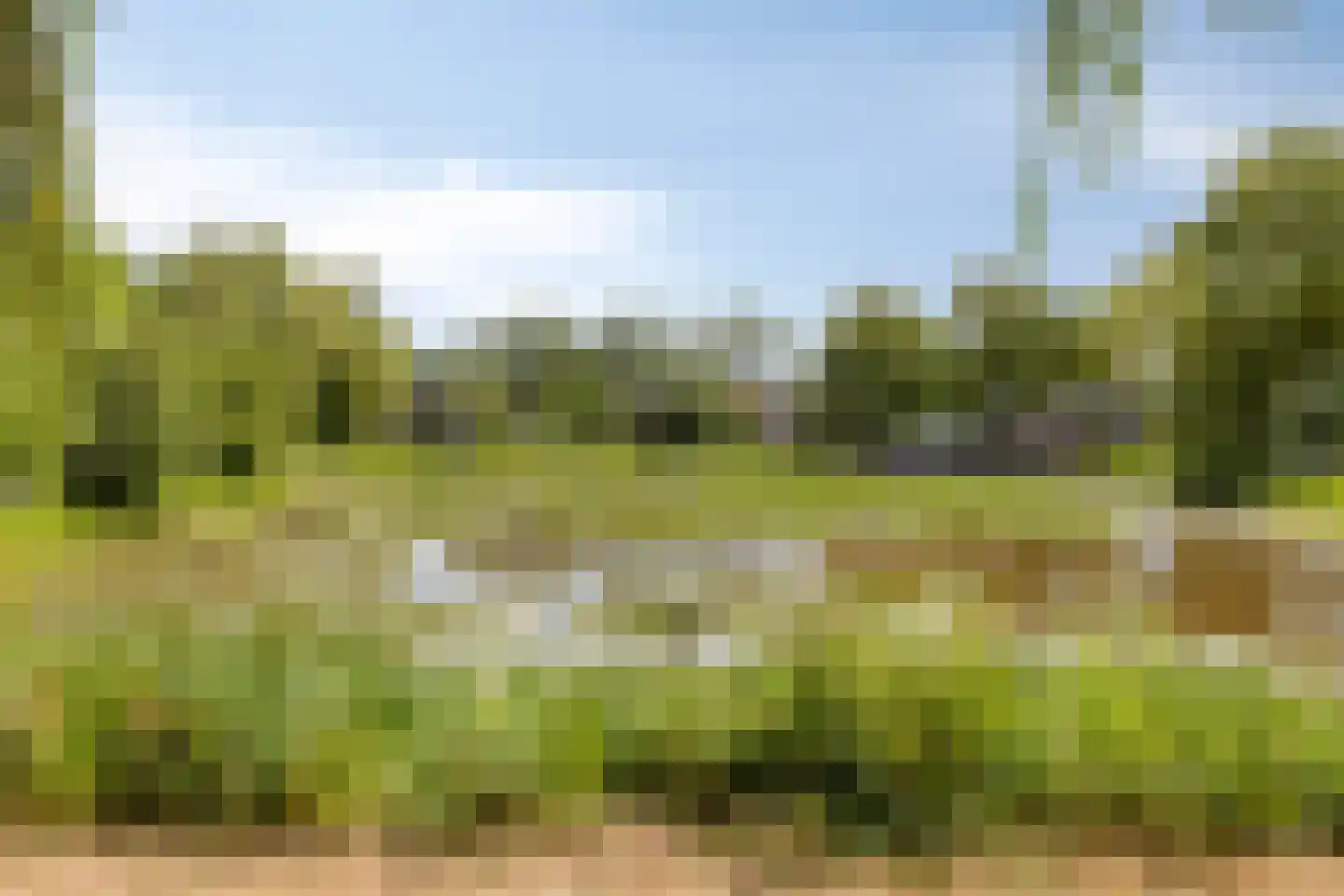 Molenakker 16 Reusel thumbnail 34