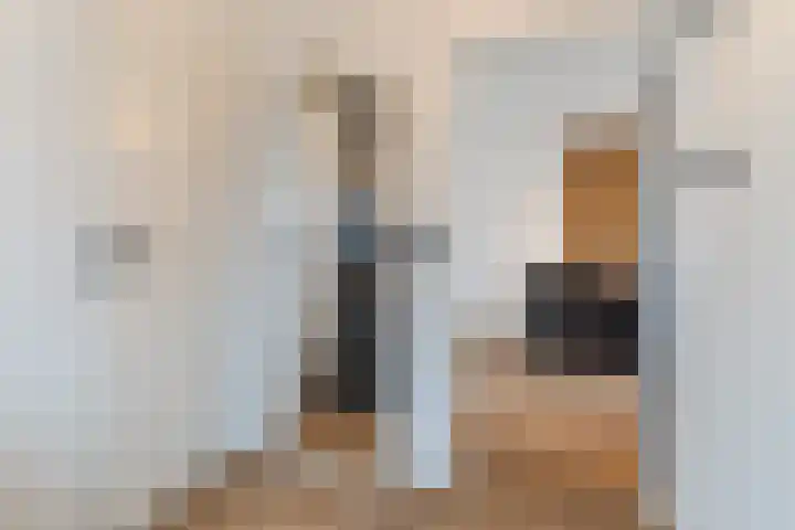 Molenakker 2 Berkel-Enschot thumbnail 10