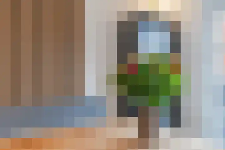 Molenakker 2 Berkel-Enschot thumbnail 18