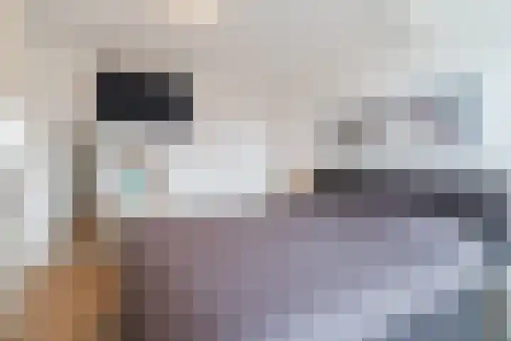 Molenakker 2 Berkel-Enschot thumbnail 29