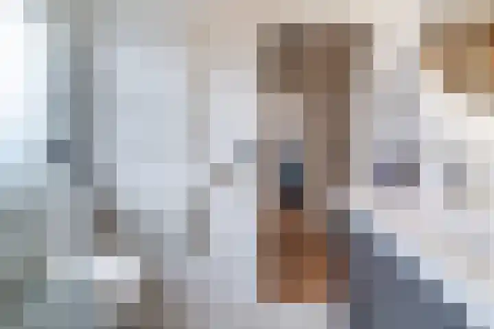 Molenakker 2 Berkel-Enschot thumbnail 32