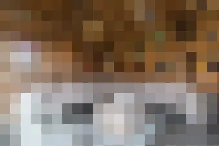 Molenakker 2 Berkel-Enschot thumbnail 42