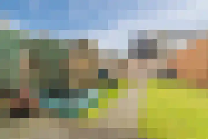 Molenakker 2 Berkel-Enschot thumbnail 43