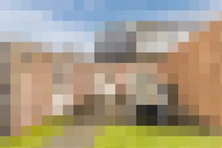 Molenakker 2 Berkel-Enschot thumbnail 44