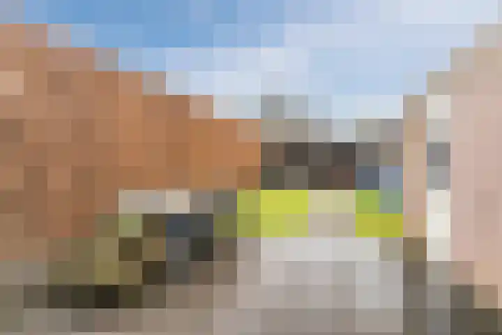 Molenakker 2 Berkel-Enschot thumbnail 5