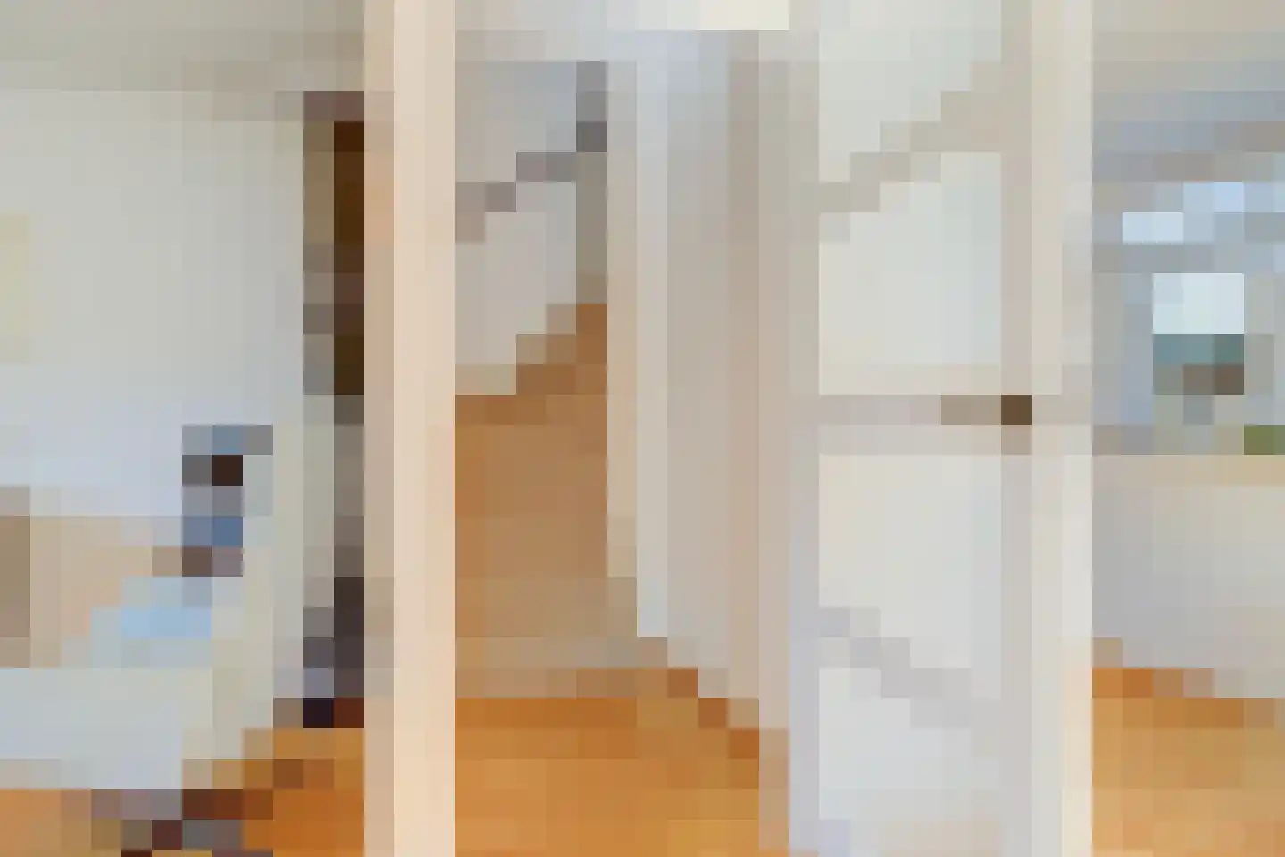 Molenakker 2 Wijk bij Duurstede thumbnail 21