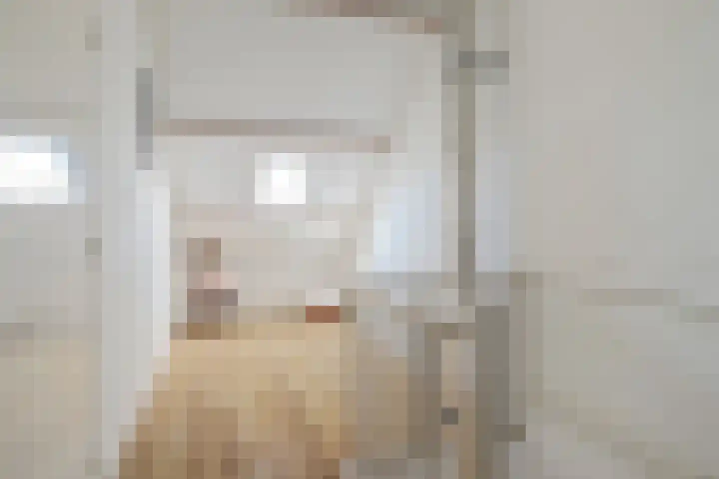 Molenakker 2 Wijk bij Duurstede thumbnail 38