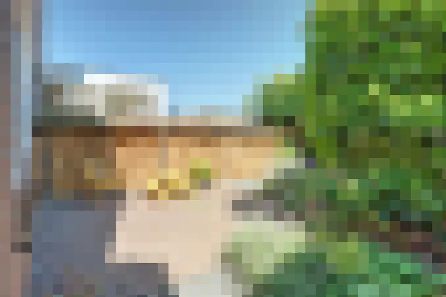 Molenakker 2 Wijk bij Duurstede thumbnail 42