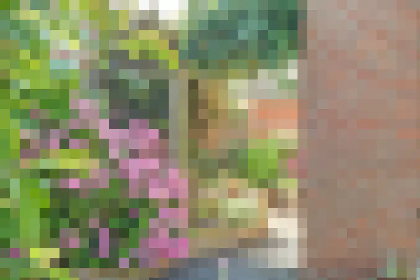 Molenakker 2 Wijk bij Duurstede thumbnail 46