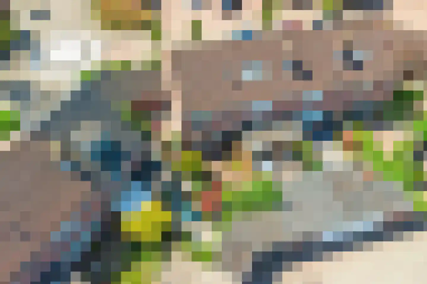 Molenakker 2 Wijk bij Duurstede thumbnail 57