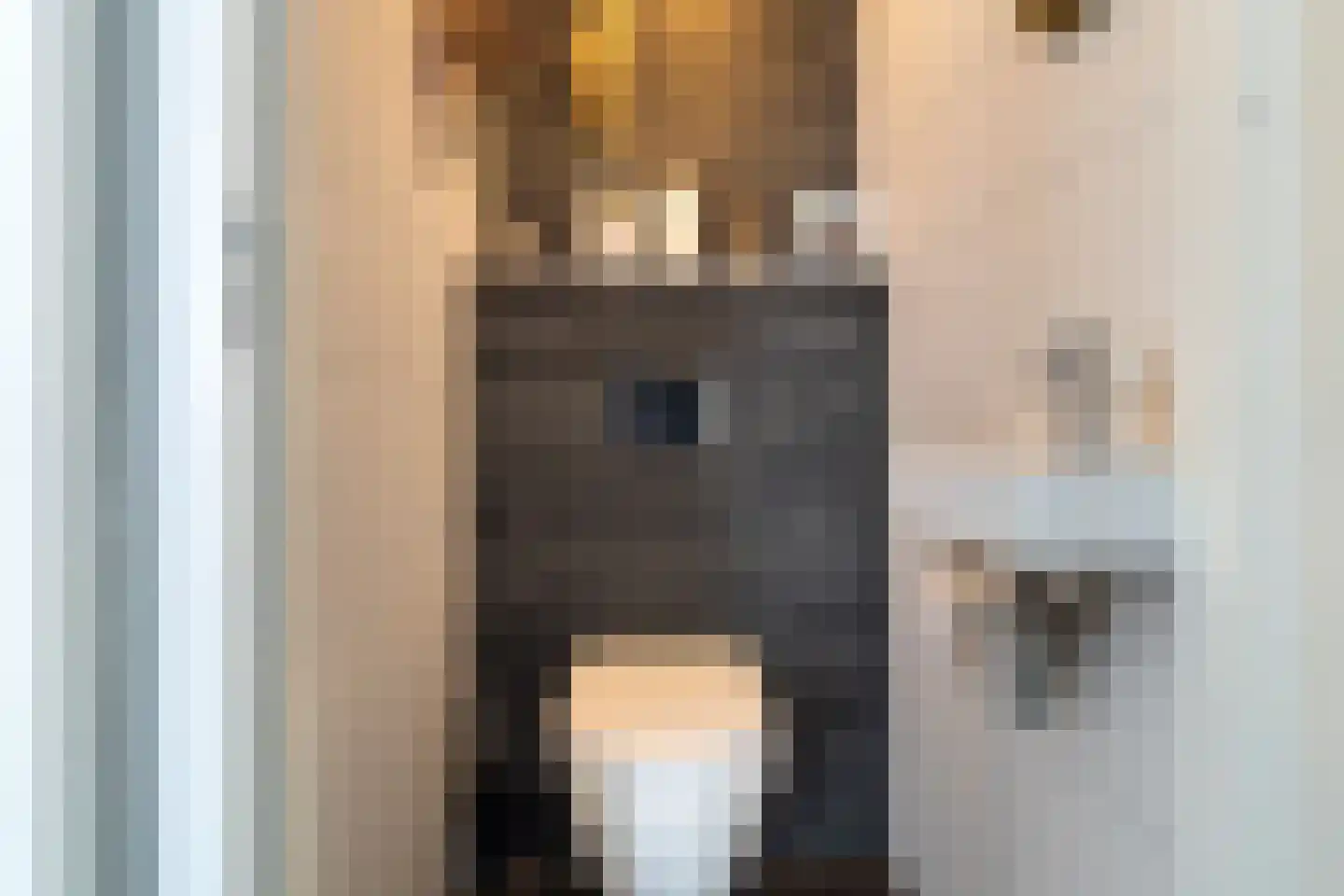 Molenakker 21 Kaatsheuvel thumbnail 11