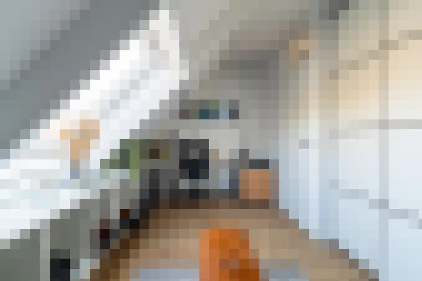 Molenakker 21 Kaatsheuvel thumbnail 21