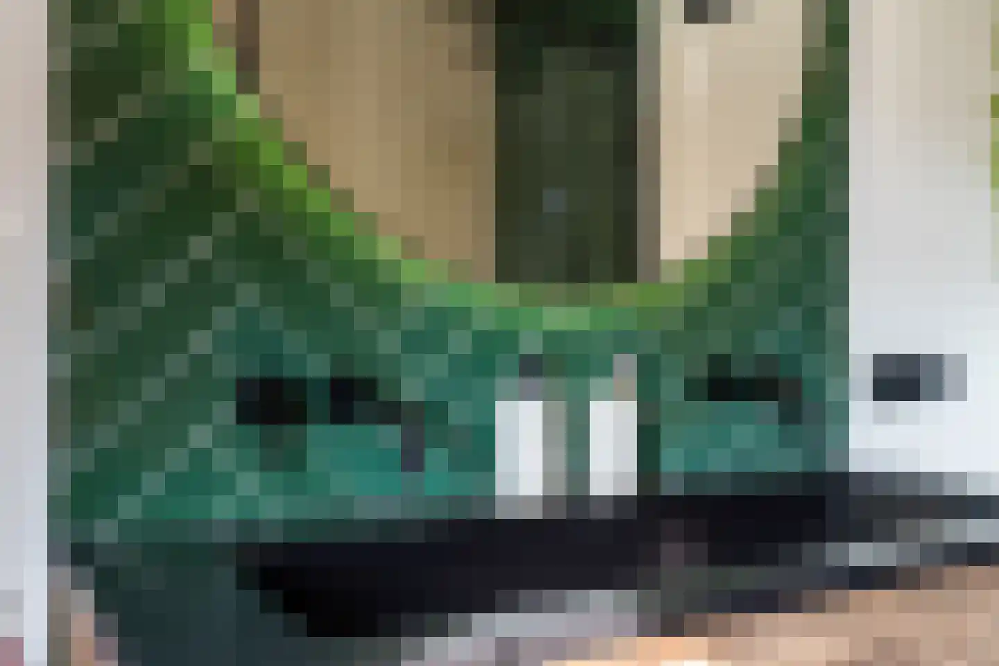 Molenakker 21 Kaatsheuvel thumbnail 23