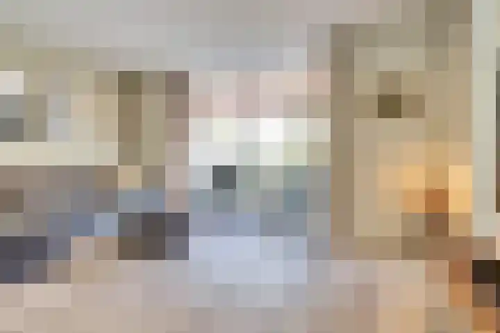 Molenakker 23 Reusel thumbnail 10