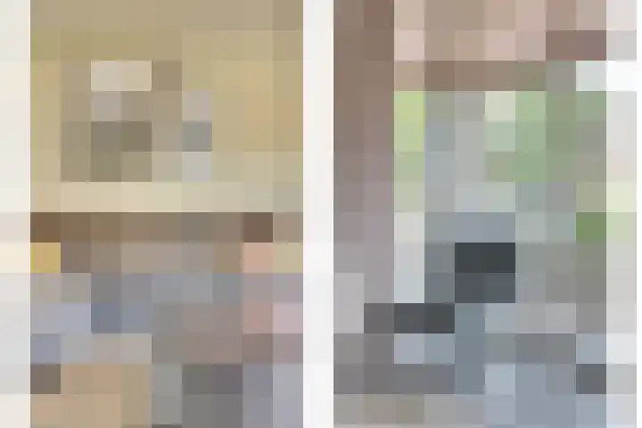 Molenakker 23 Reusel thumbnail 15