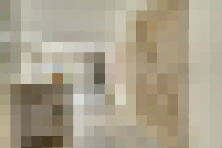 Molenakker 23 Reusel thumbnail 16