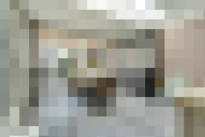 Molenakker 23 Reusel thumbnail 18