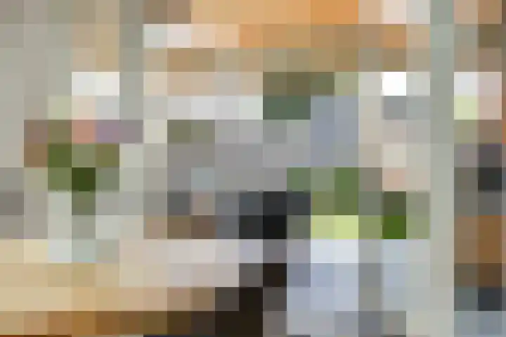 Molenakker 23 Reusel thumbnail 19