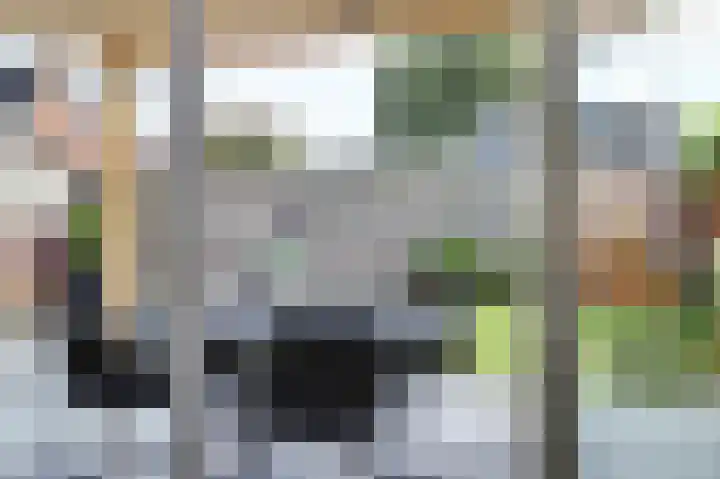Molenakker 23 Reusel thumbnail 20