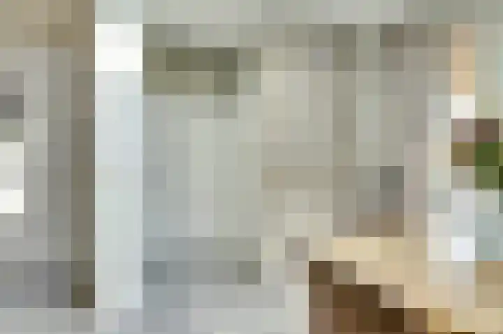 Molenakker 23 Reusel thumbnail 21