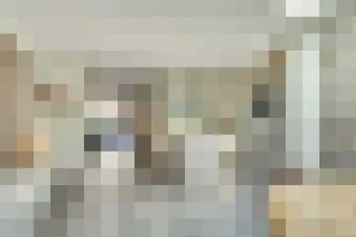 Molenakker 23 Reusel thumbnail 23