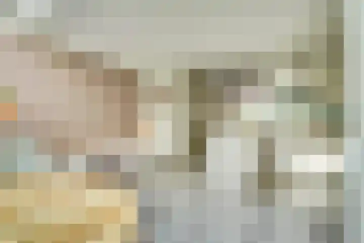 Molenakker 23 Reusel thumbnail 24