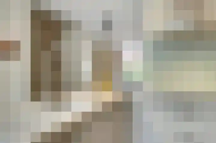 Molenakker 23 Reusel thumbnail 26