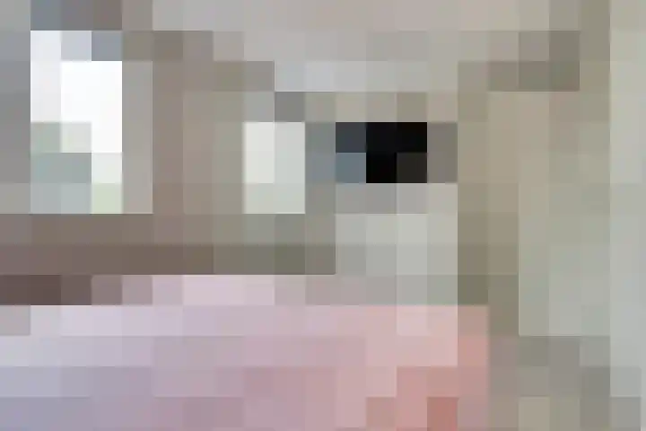 Molenakker 23 Reusel thumbnail 34