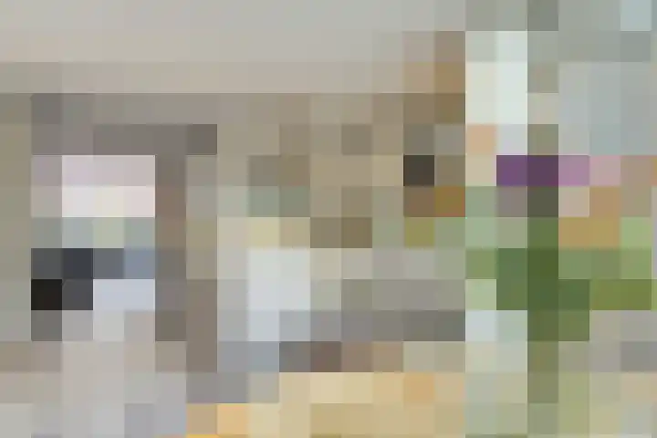 Molenakker 23 Reusel thumbnail 4