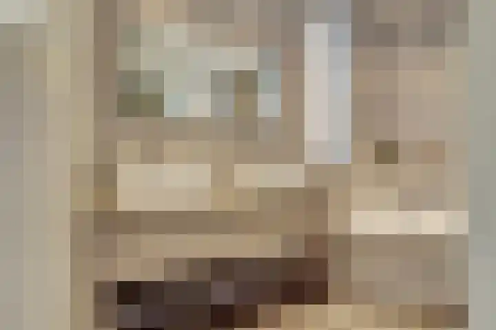 Molenakker 23 Reusel thumbnail 41