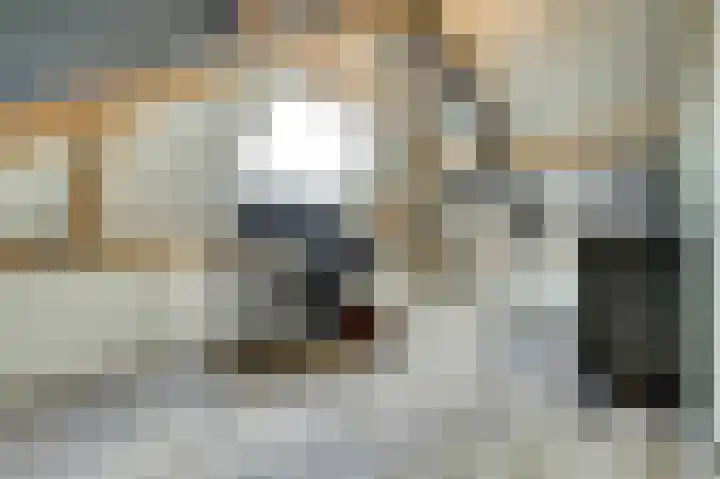 Molenakker 23 Reusel thumbnail 47