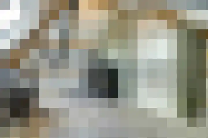 Molenakker 23 Reusel thumbnail 48