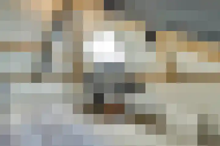 Molenakker 23 Reusel thumbnail 49
