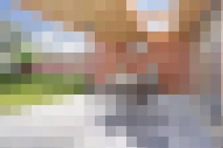 Molenakker 23 Reusel thumbnail 50
