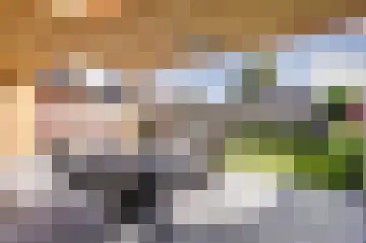 Molenakker 23 Reusel thumbnail 52