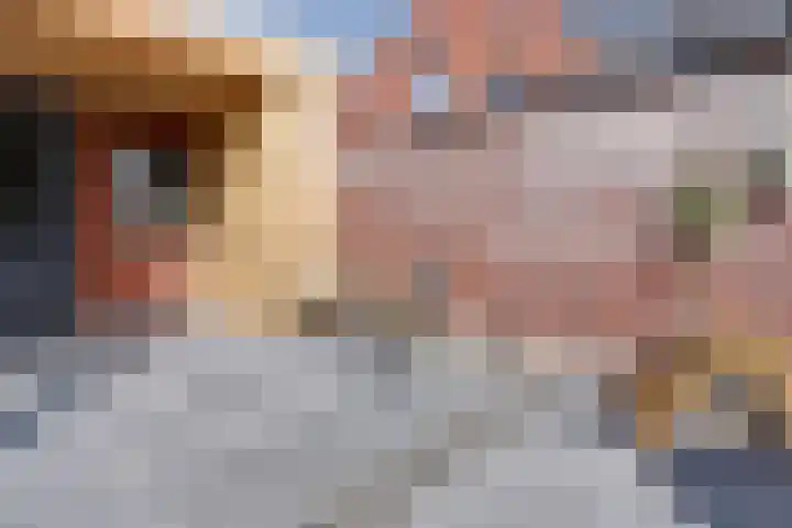 Molenakker 23 Reusel thumbnail 55