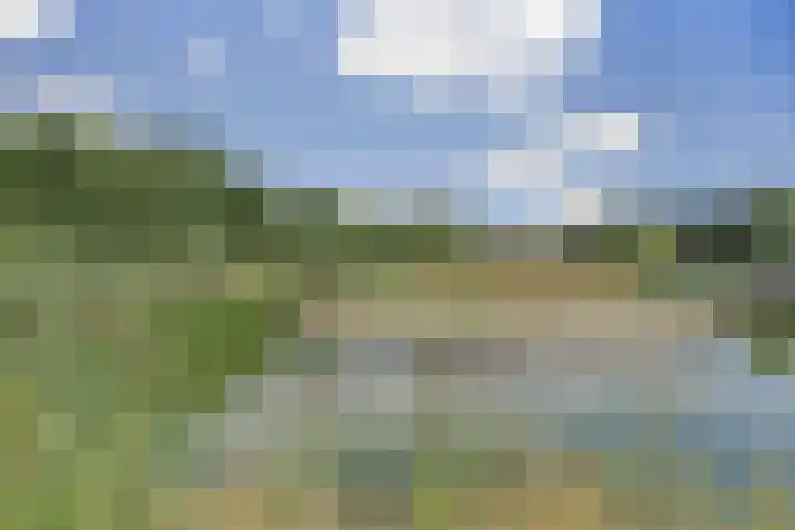 Molenakker 23 Reusel thumbnail 60