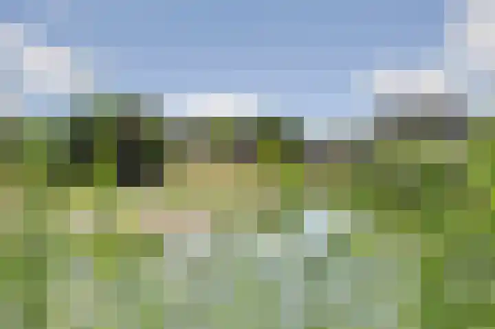 Molenakker 23 Reusel thumbnail 61