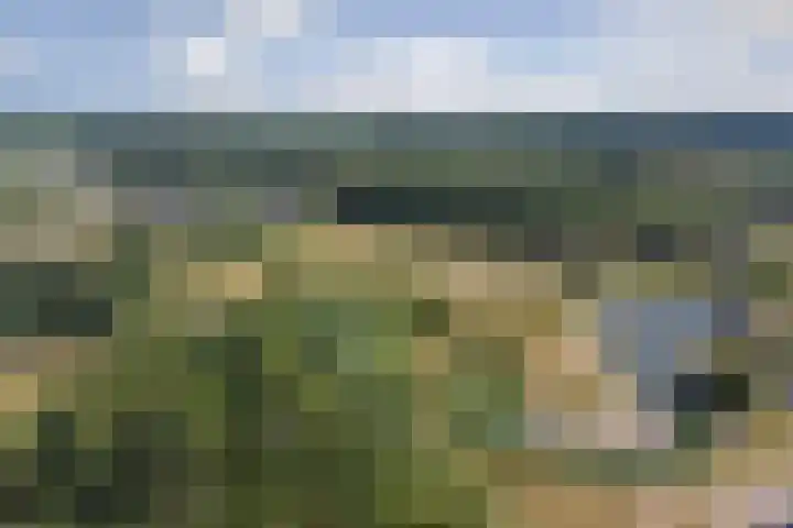 Molenakker 23 Reusel thumbnail 62