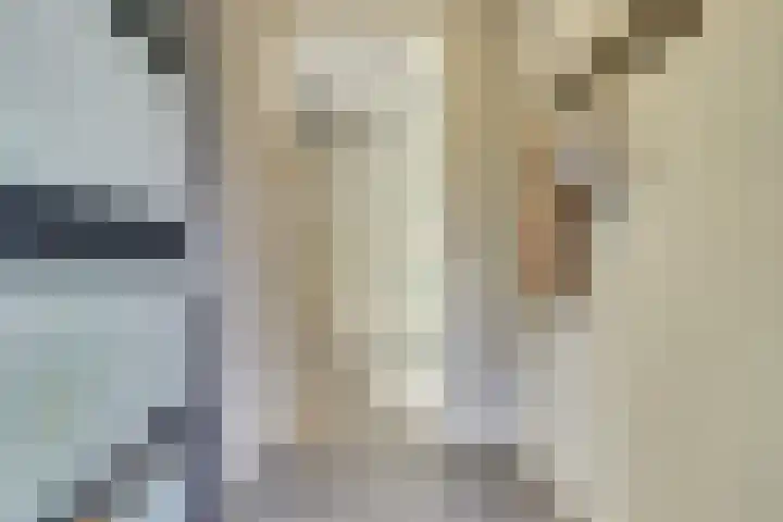Molenakker 23 Reusel thumbnail 8