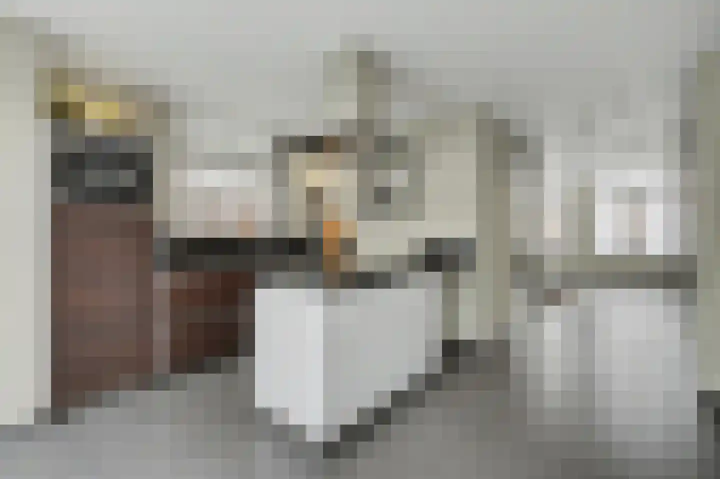 Molenakker 29 Reusel thumbnail 13