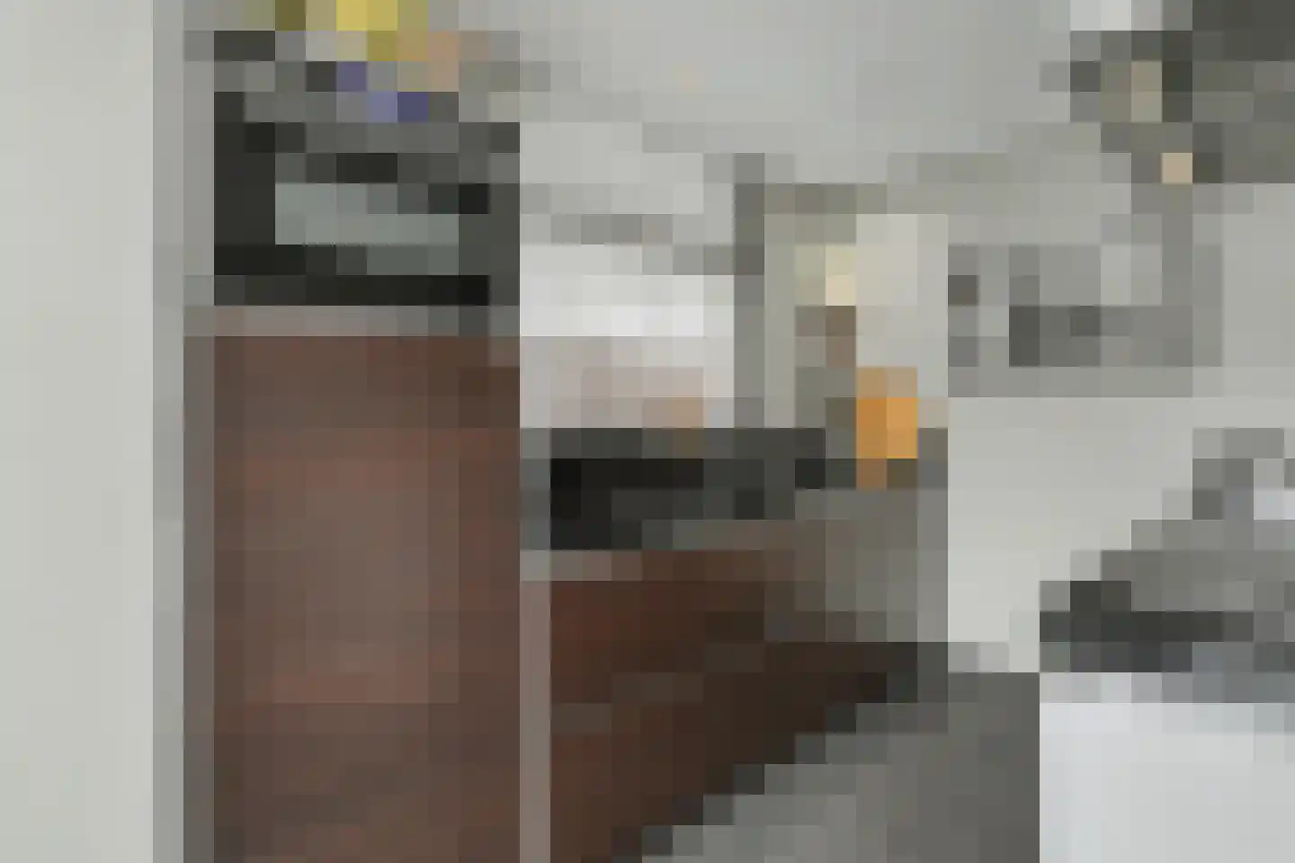 Molenakker 29 Reusel thumbnail 14
