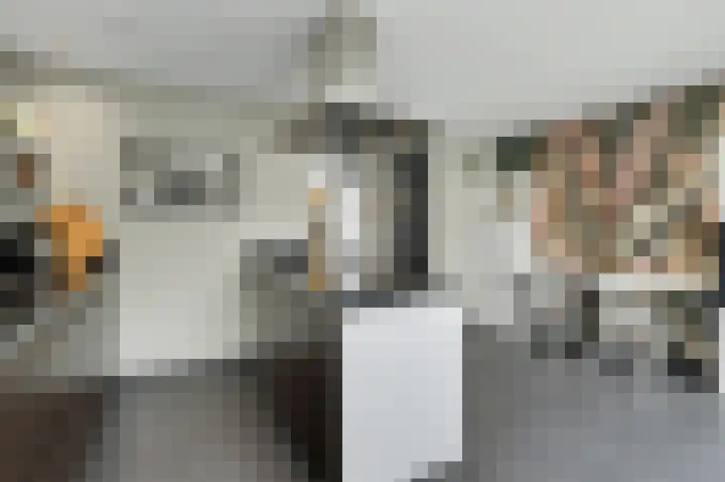 Molenakker 29 Reusel thumbnail 16