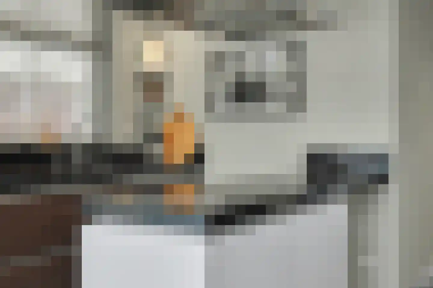 Molenakker 29 Reusel thumbnail 17